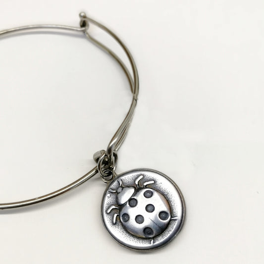 Bracciale rigido doppio e ciondolo personalizzabile portafortuna con coccinella (G14+A33)